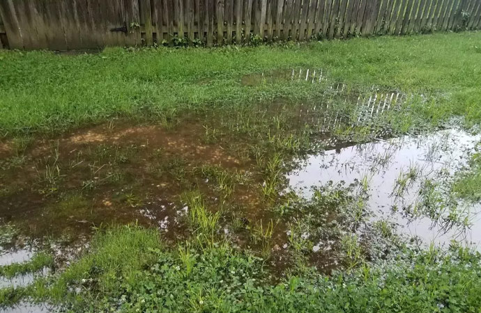 Solution for Excess Water in Your Yard