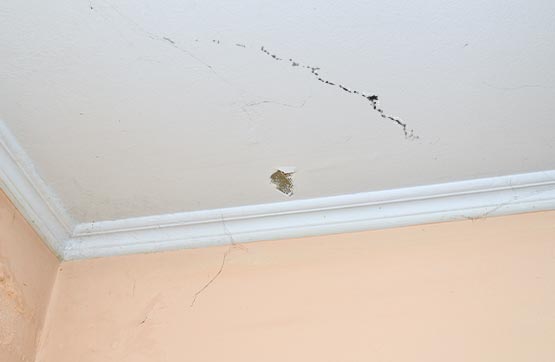 ceiling with a crack and wall with parts of a spider web