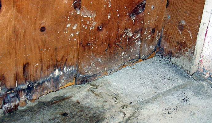 Wet Basement, Crawl Space, Foundation Repair