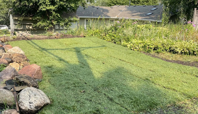Lawn Care